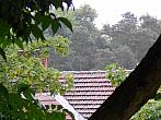 Borovina