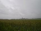 Hostákov