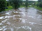 Borovina