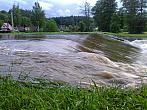 Borovina