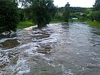 Borovina