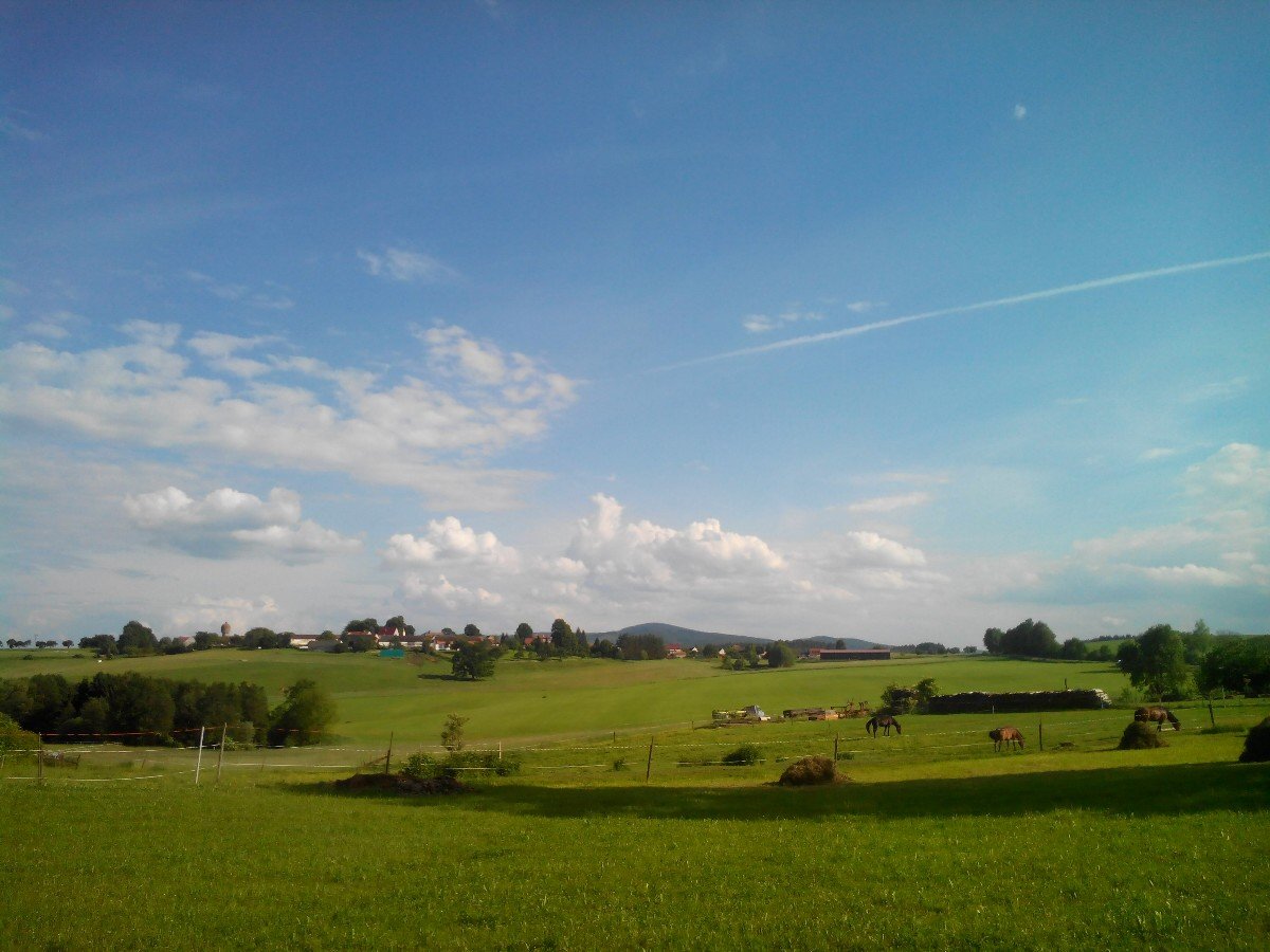 Todně