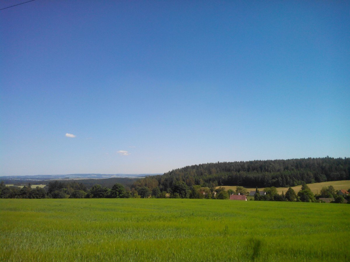 Bonkovice
