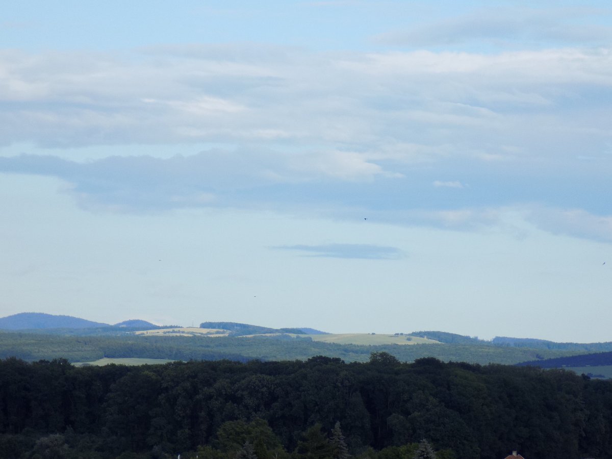 Kvasice