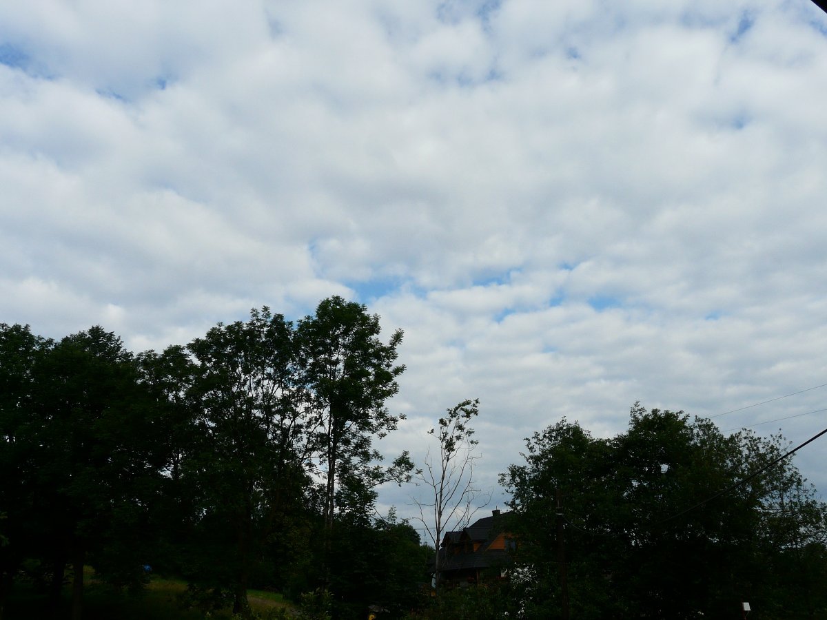 Oldřichovice
