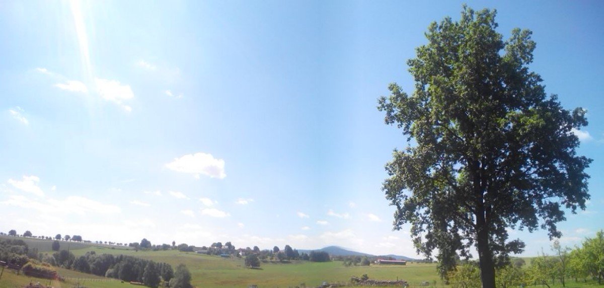 Todně