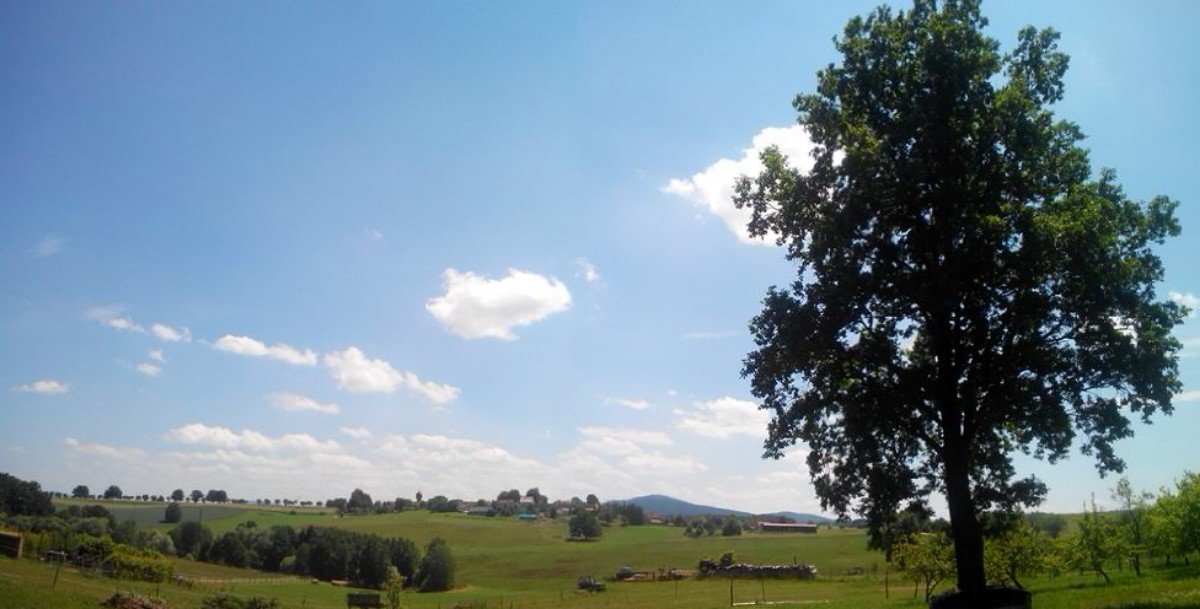 Todně