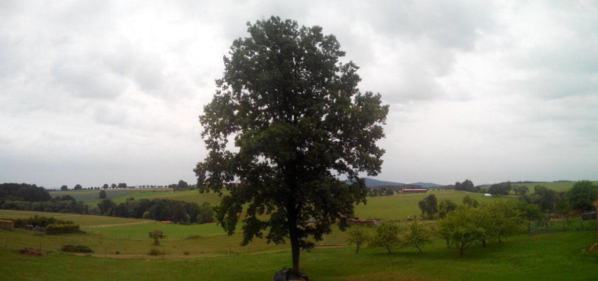 Todně
