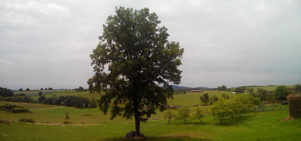 Todně