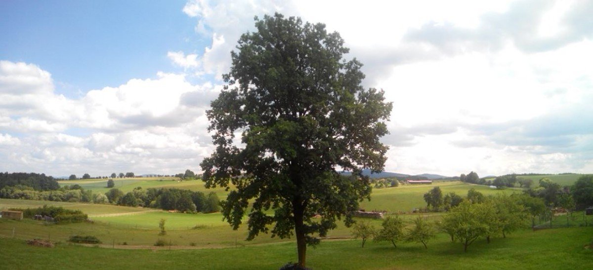Todně
