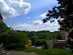 Borovina