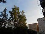 Borovina