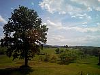 Todně