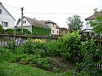 Třibřichy