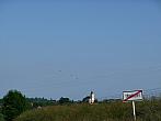 Třibřichy