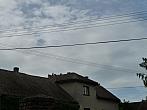 Třibřichy