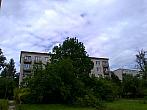 Borovina