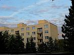 Borovina