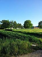 Věrovany