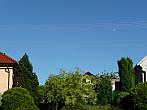 Třibřichy