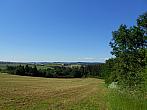 Borovina