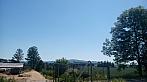 Rovensko