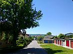 Borovina