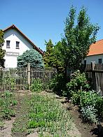 Třibřichy