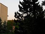 Borovina