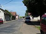 Třibřichy