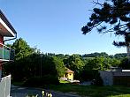 Borovina