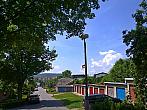 Borovina
