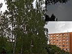 Borovina