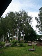 Kladruby nad Labem
