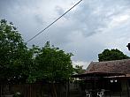 Třibřichy