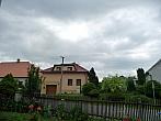Třibřichy