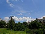 Borovina