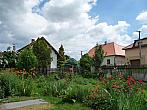 Třibřichy