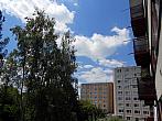 Borovina
