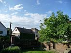 Třibřichy