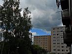 Borovina