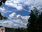 Borovina