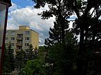 Borovina