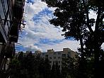 Borovina