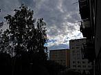 Borovina