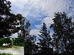 Borovina