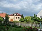Třibřichy