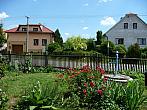 Třibřichy