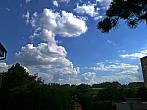 Borovina
