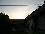 Třibřichy